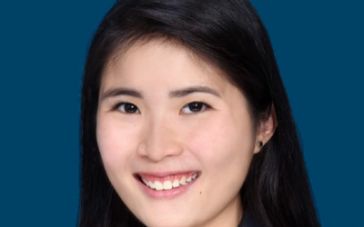 Lee Amelia